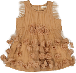 MarMar Dinne Ballerina Dress - Clove