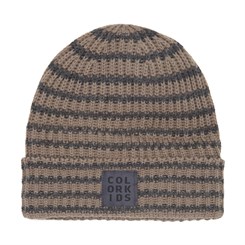 Color Kids Beanie w/Striped Pattern - Fossil